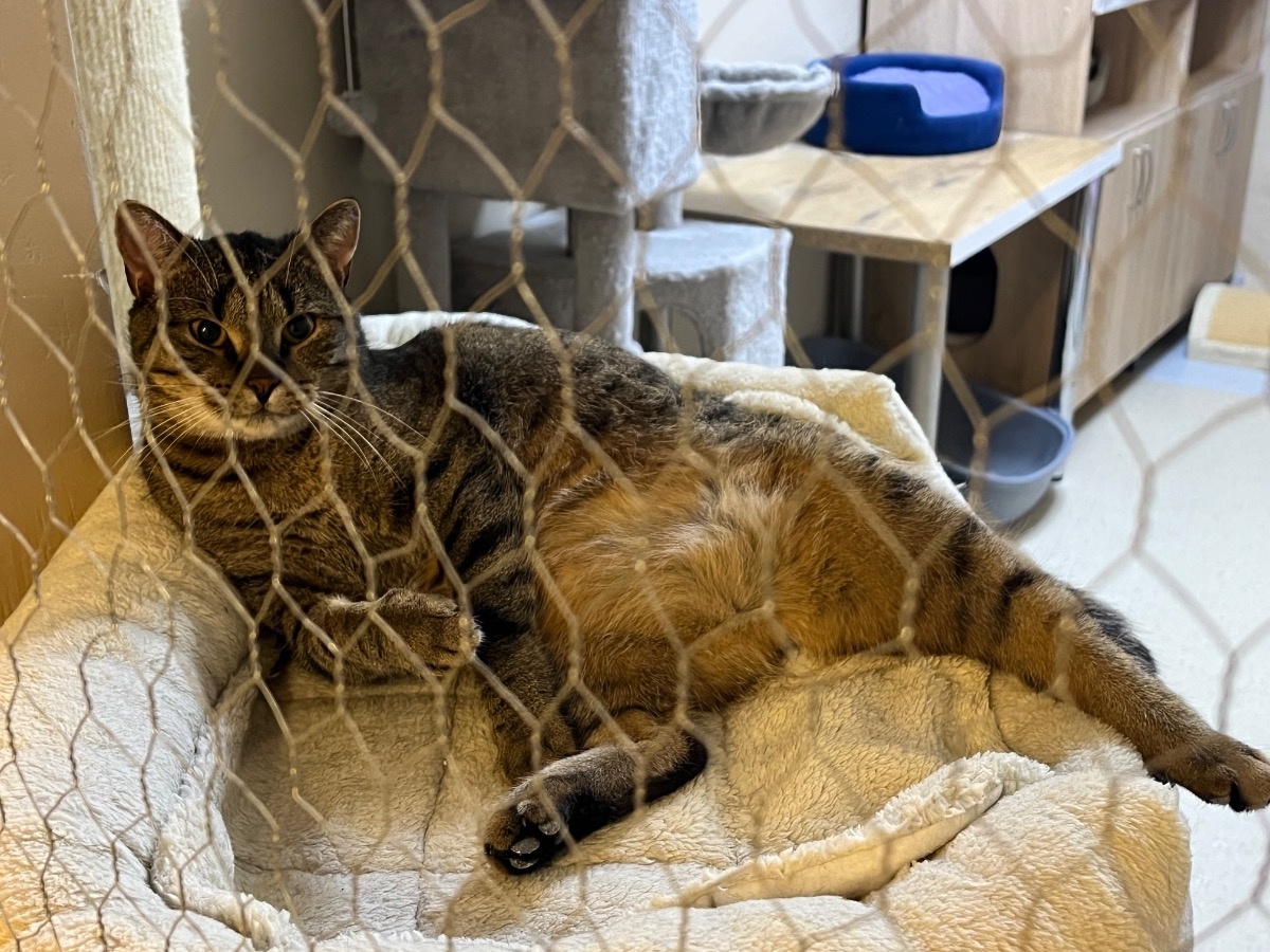 9fff35aa-c36f-42da-a751-a789d6b40862