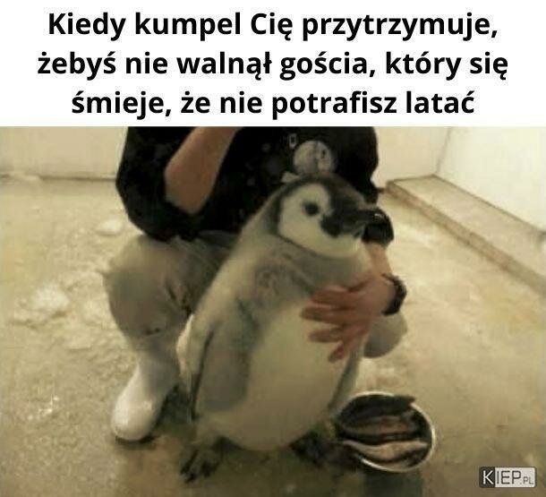 124df2bb-73e9-45d8-9445-a4880fe00955