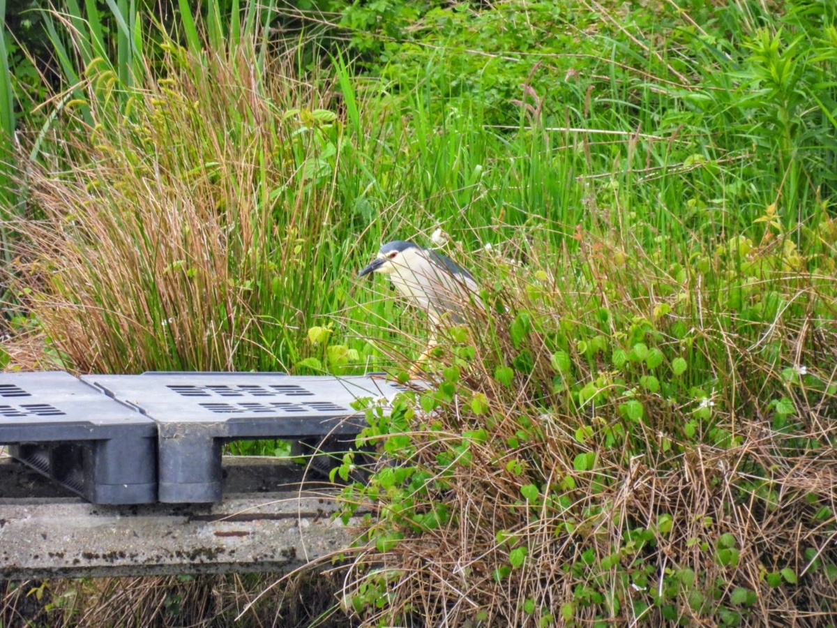 6675d441-c2b4-4387-b2ad-c1dab8fce443