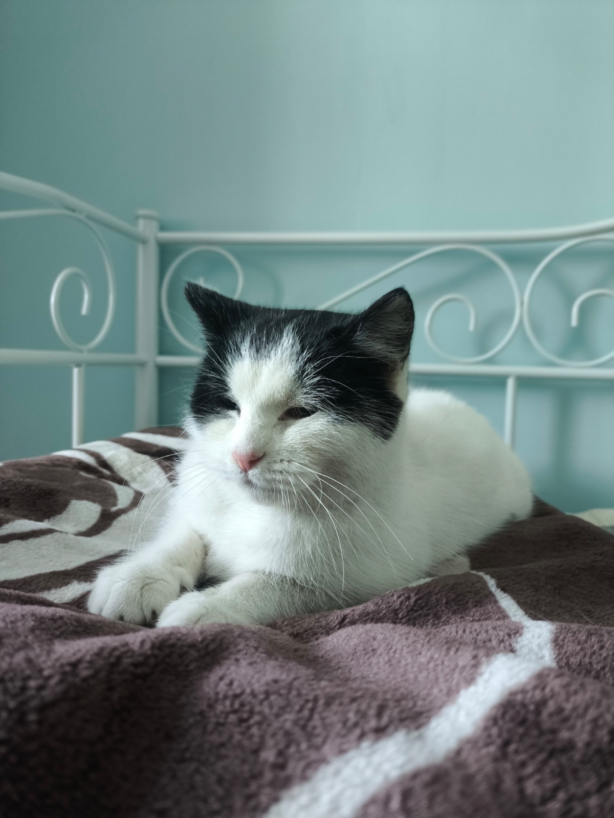 9f39e3f2-240a-4b6d-b2c2-77bd6ee22acc