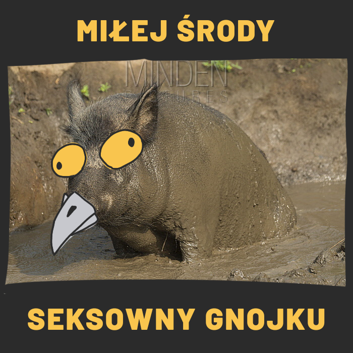 ecb3ce54-a92c-4af4-badb-4dfe72a02531