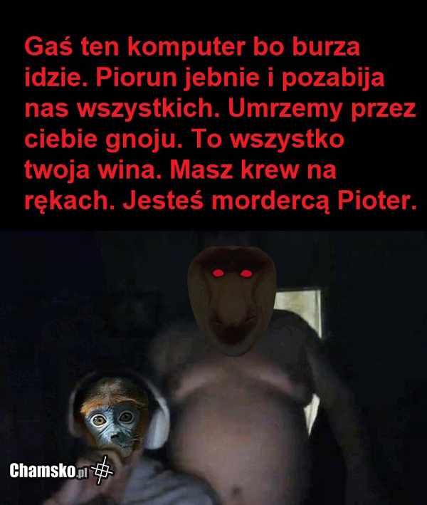 ffaadbf5-fcba-4f13-b96f-558f19122268