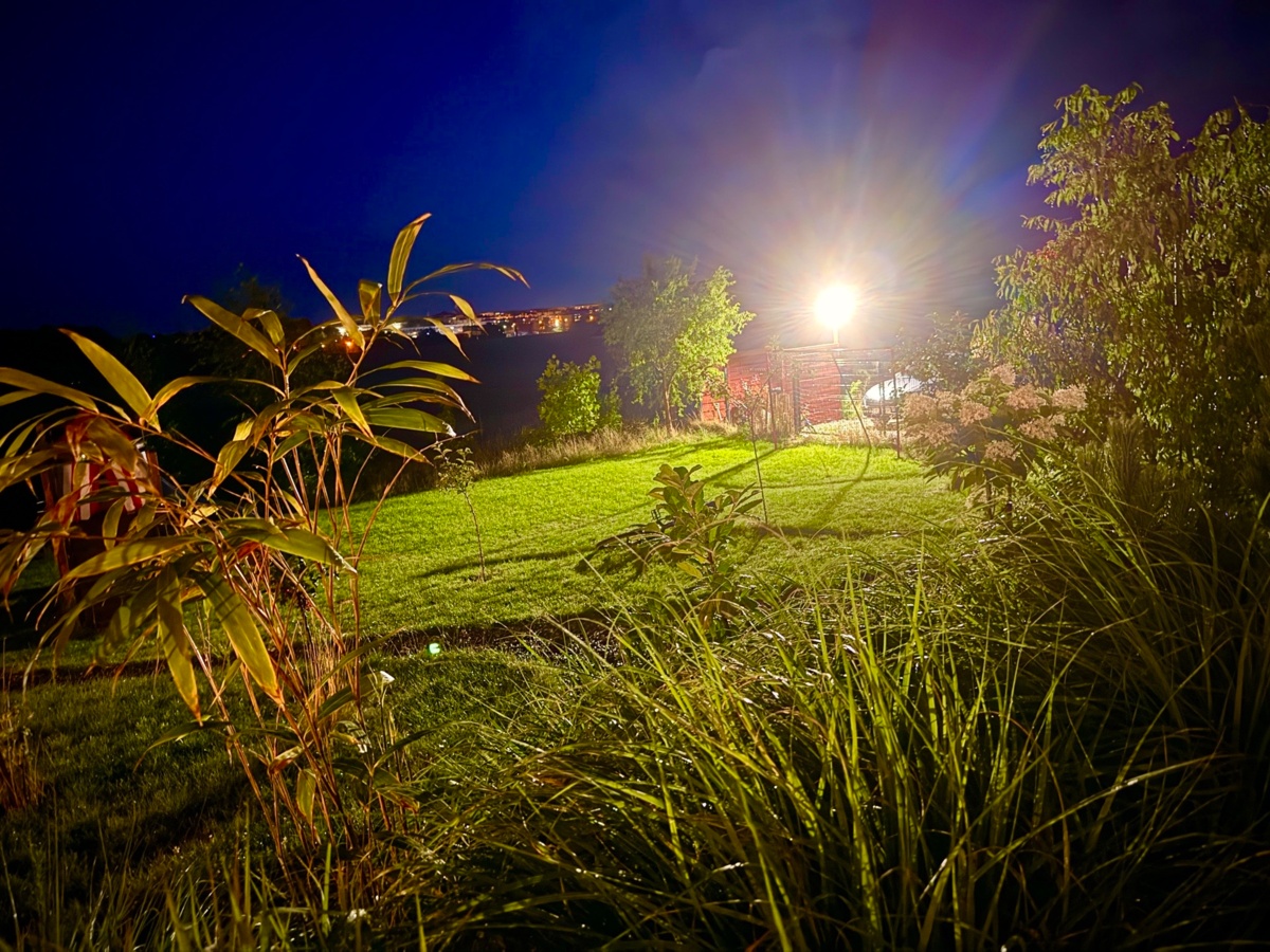 27cb9c94-a271-4e57-aa28-d62a42ce0acc