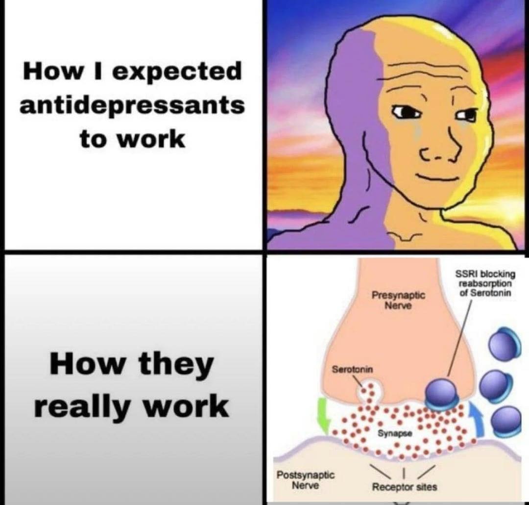 96ad3524-8d36-4134-9ea2-208e69dcdc1c