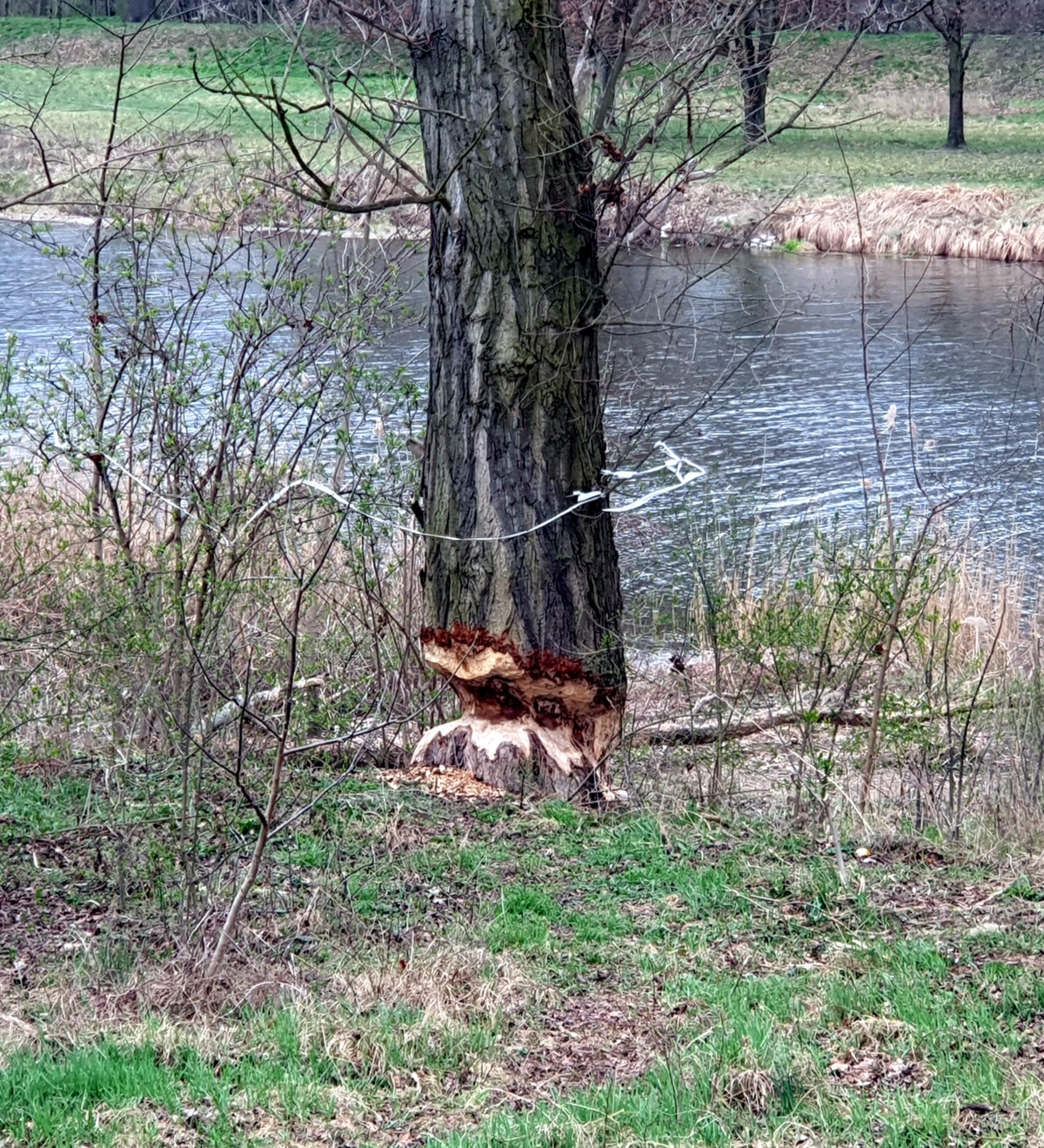 901cff40-062b-4286-b6d6-5418378481b8