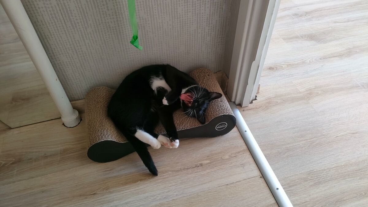 305c62ec-5a03-4cf8-9aae-fd24dd3db5eb