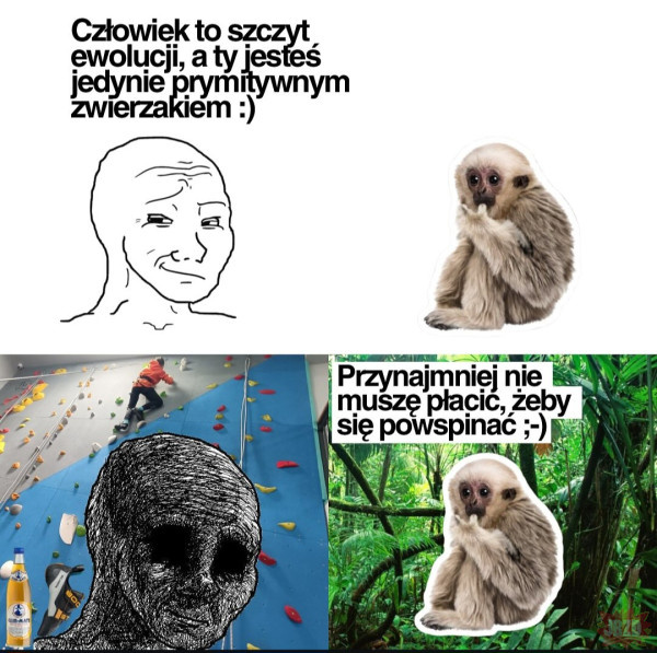 3d5a41d7-945d-4271-85d3-634c3e27a2e0