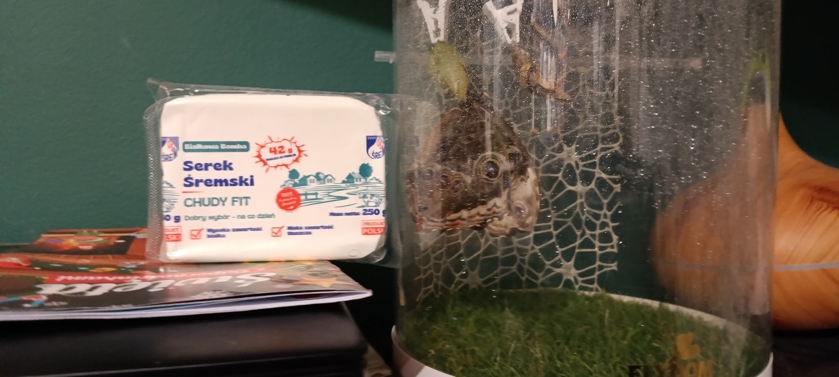 988c8a40-2ea6-4792-a11e-5a759560ff95