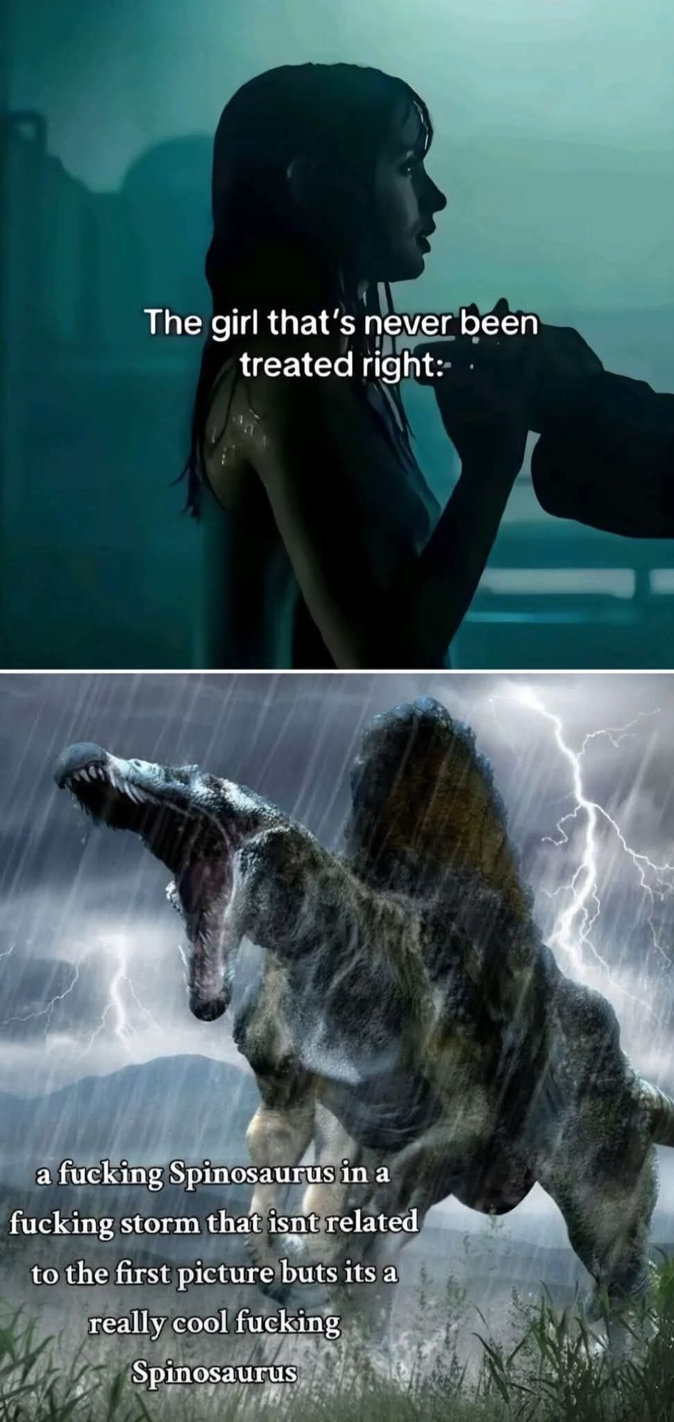 8c6f613d-7f10-471c-b193-4bc2436d1e35