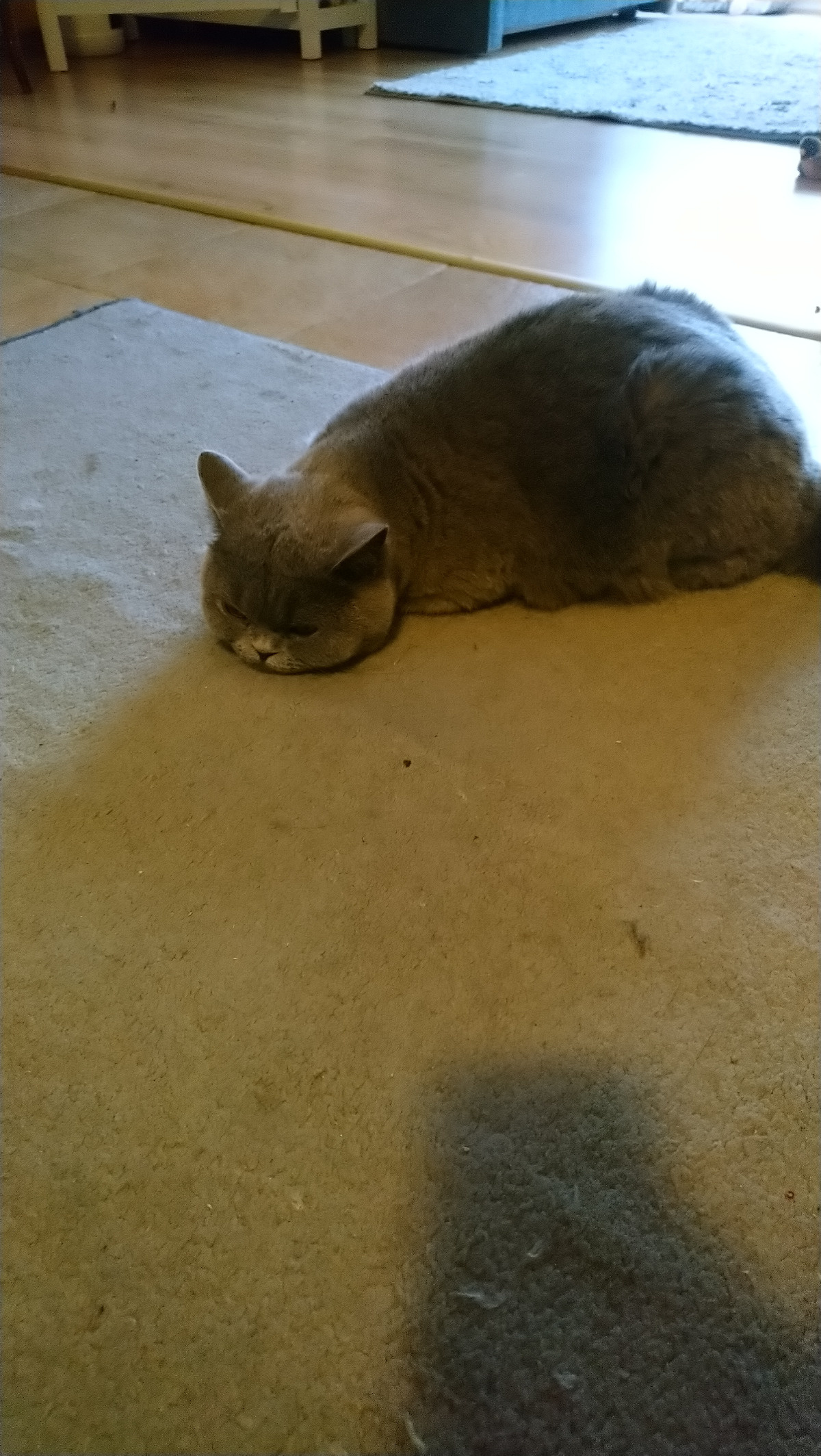 835b6023-db4a-4300-bb1b-6baa68d1759c