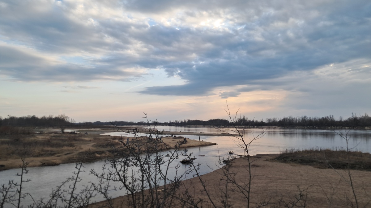 7351ed50-bdb6-48aa-a531-366599bde392