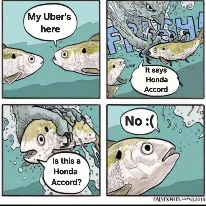 cda79301-2eff-4419-9994-e9379be51951