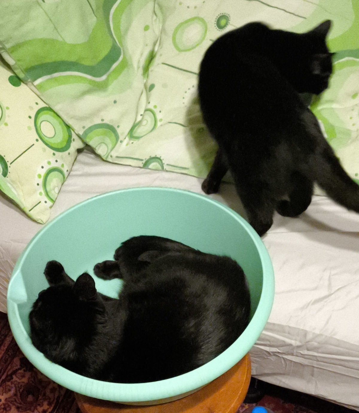 e818a8f4-e073-4056-8803-5e09398e24ce