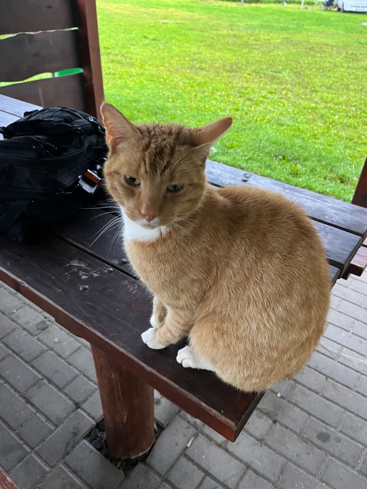 1b5a3ded-3b03-49da-8313-7be9bf315250