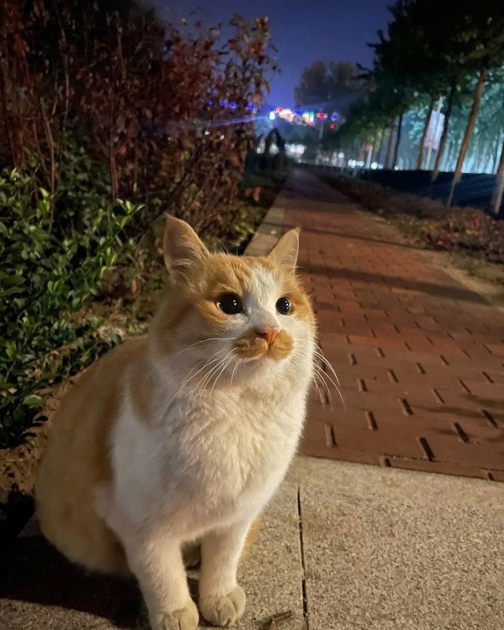 5a651465-e4ae-4e79-93ba-b0fff3d3008b