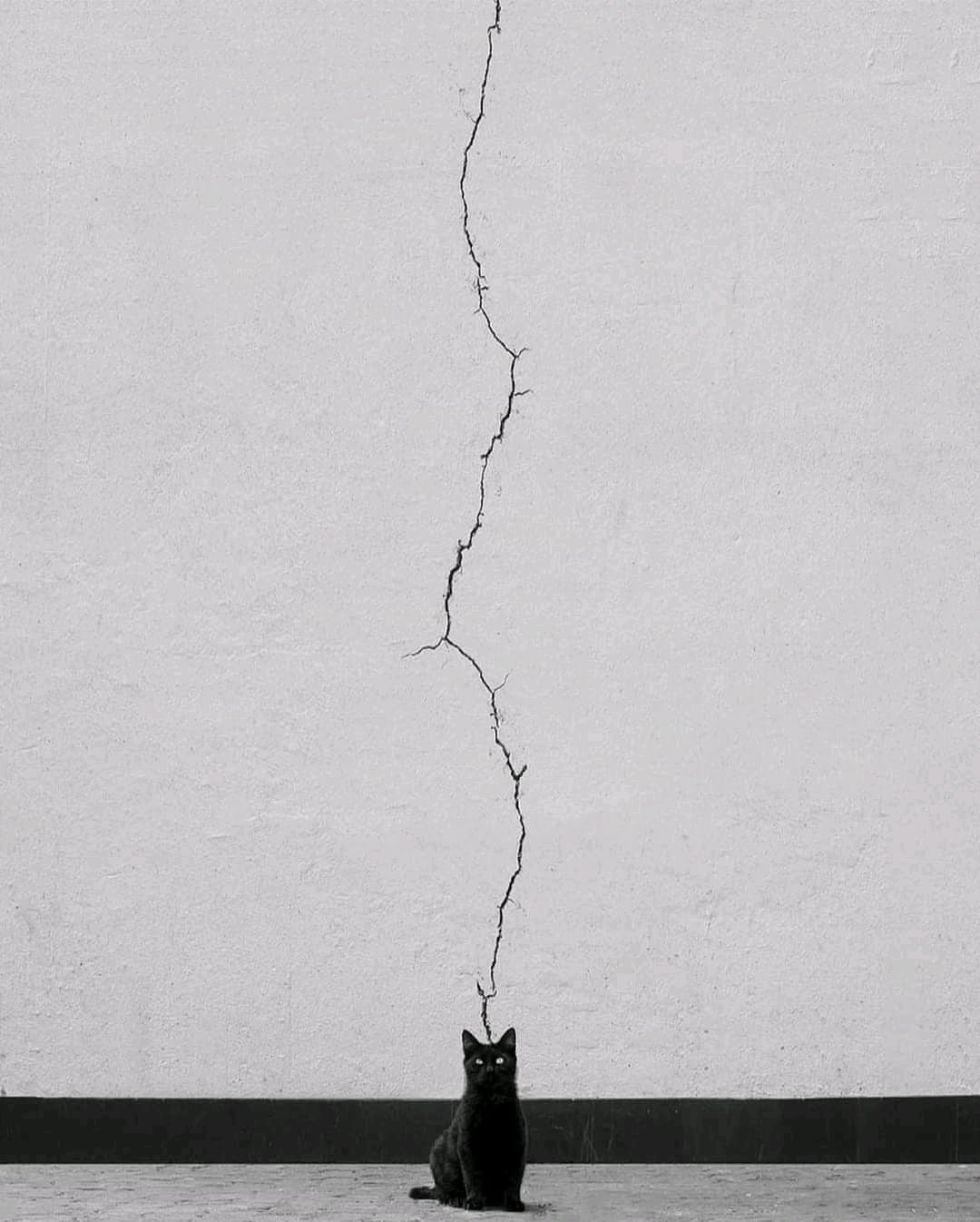 6a07b797-25cb-41f3-b74c-a46a33a1ff4d