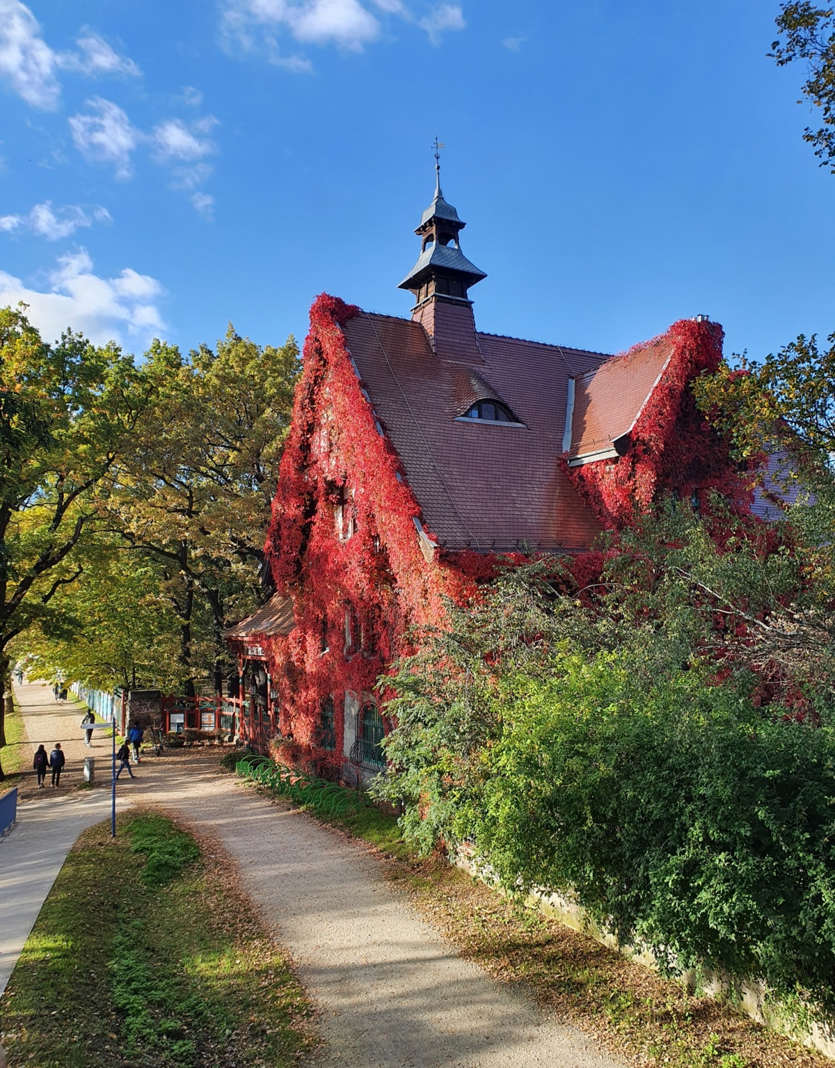 eb690853-6f99-4510-9219-3ba156466e73