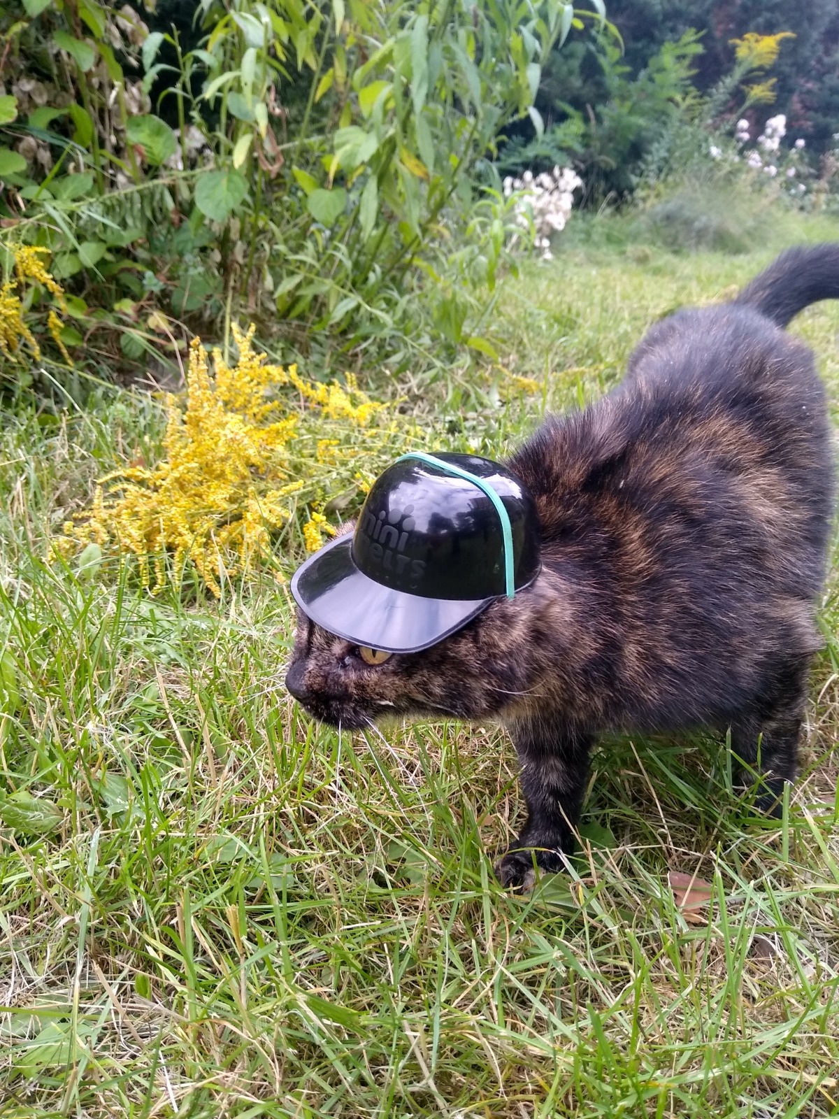 55983090-9a20-4998-bf5e-c7b57d32bd84