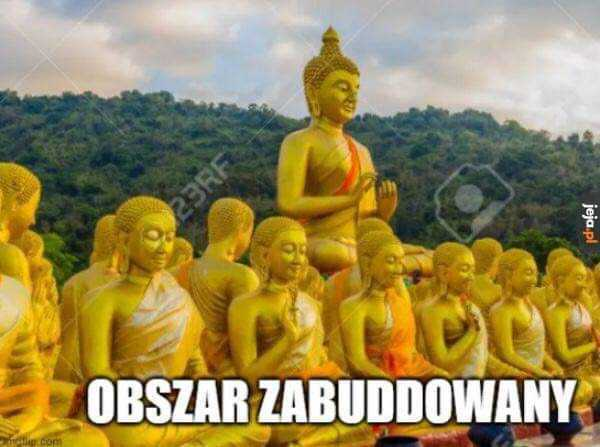 4c649fe3-911f-4e89-816b-ea65d3b170ca