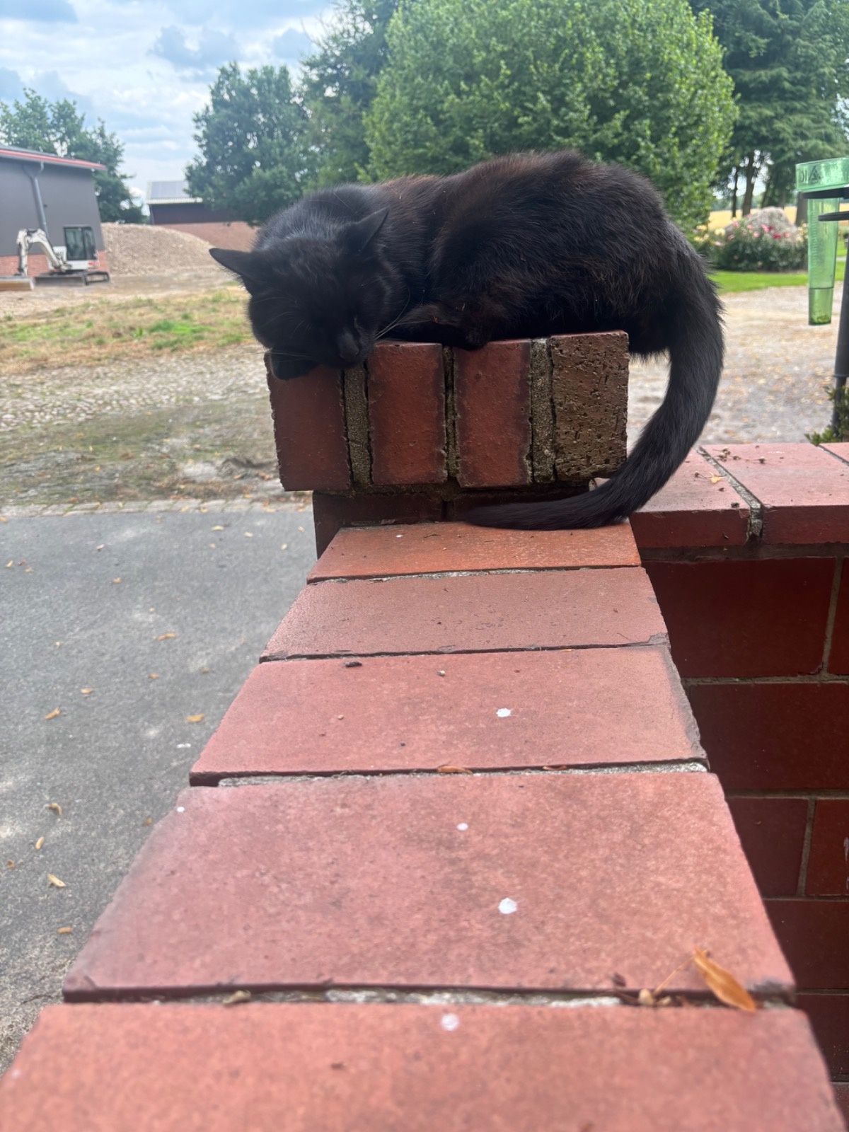 f258b4fb-7a12-4df7-ae9e-82c408aca699