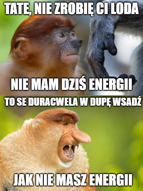 30f03b4a-a162-41b7-895d-440178a355ed