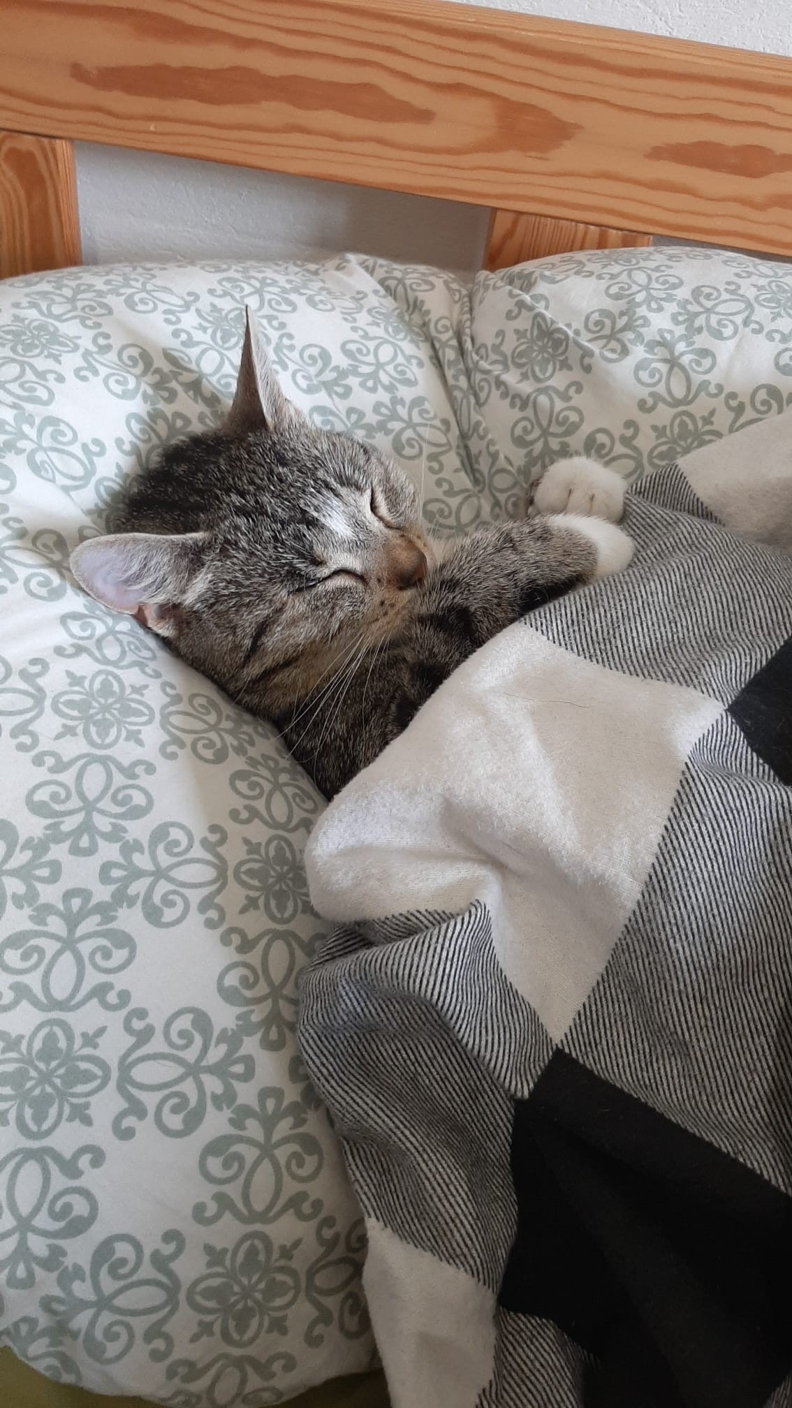 aa89caf8-d8a0-42a1-a582-22f275343a78