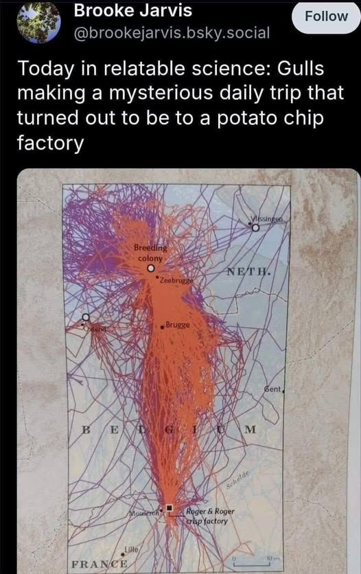 b1e681c9-d31a-4af9-babe-92b41ca560d0