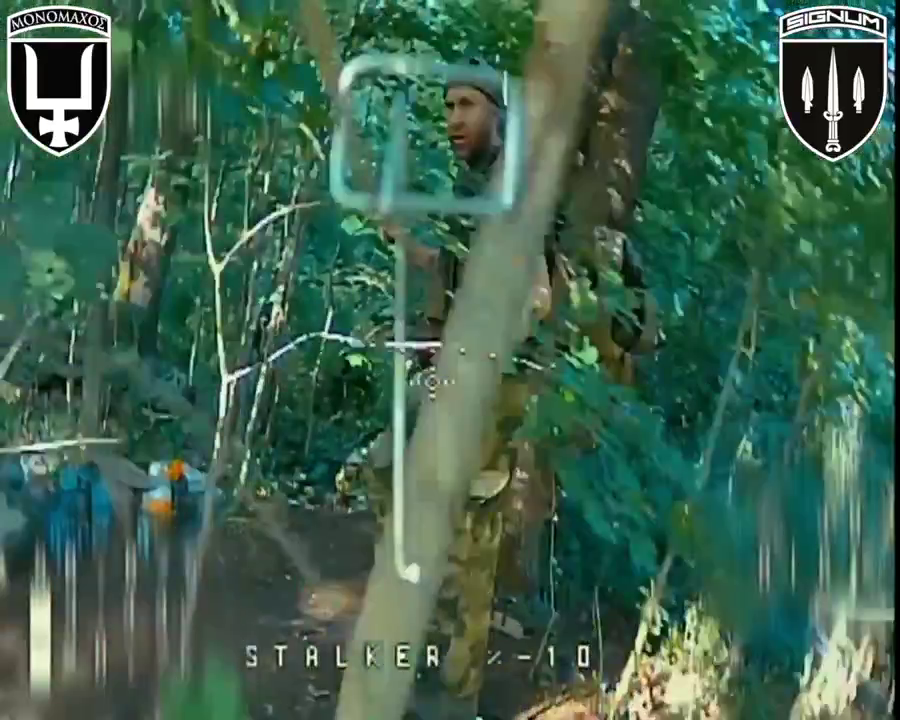 78bcf786-8916-4b1a-82bd-91005ce9af64