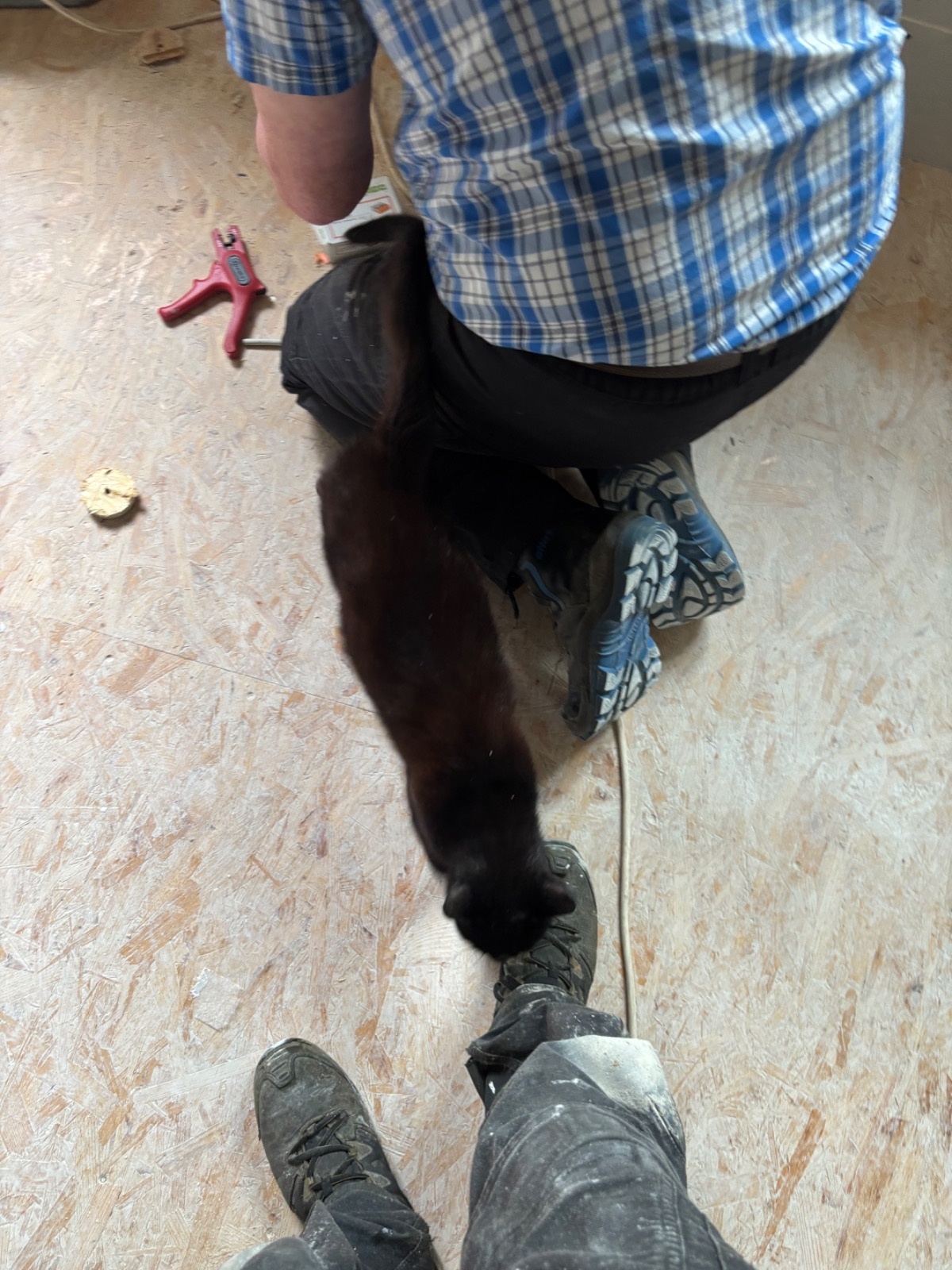 2123a981-193d-42d2-a7fc-ee5499611ab1