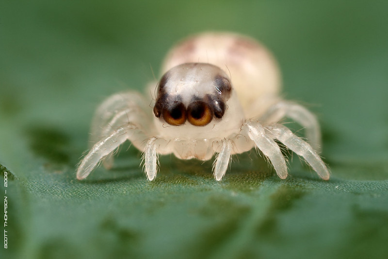 13f137cf-0d70-4a34-b1ae-730480d049bc