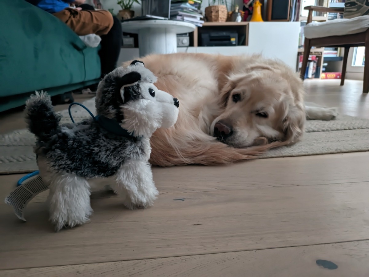 e1a37977-9e6b-4896-8d0a-e94575bda04d