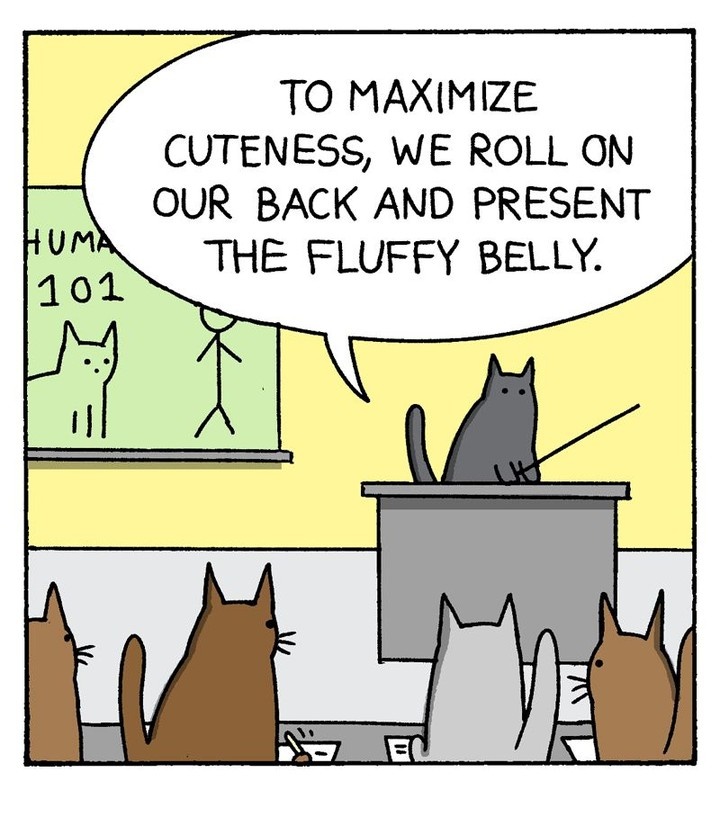 a82d1c72-3635-430f-a76a-6b06934f304c