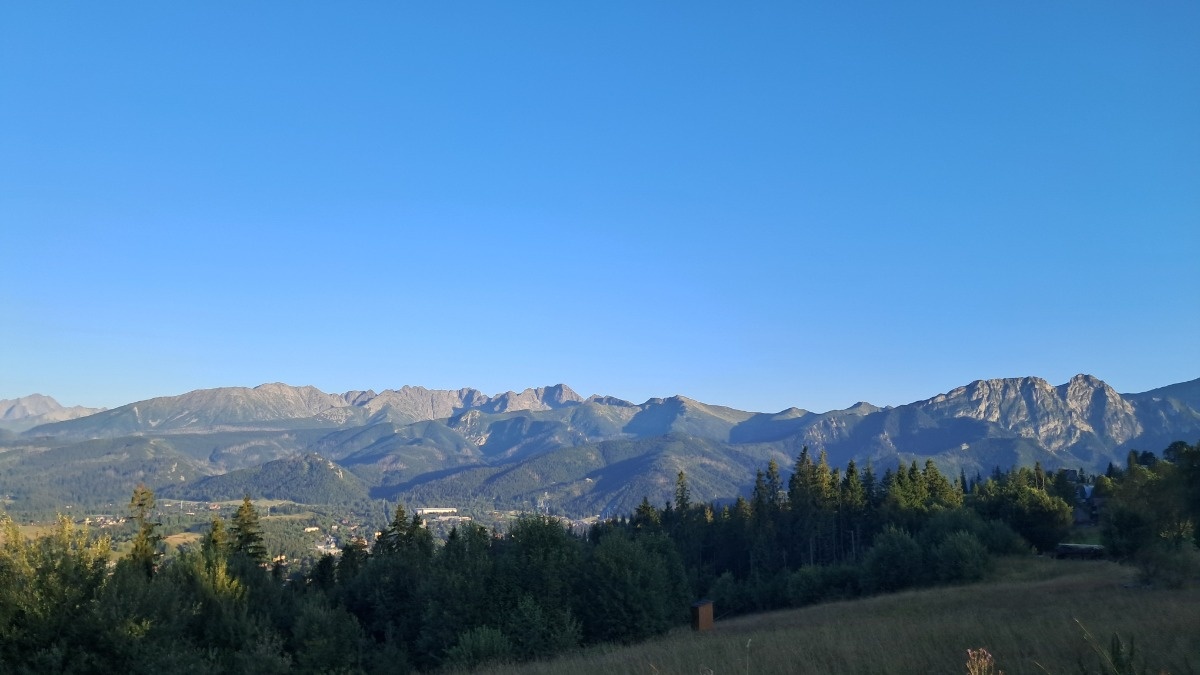 c403e1c9-254e-493c-afac-66e0d4e4b8da