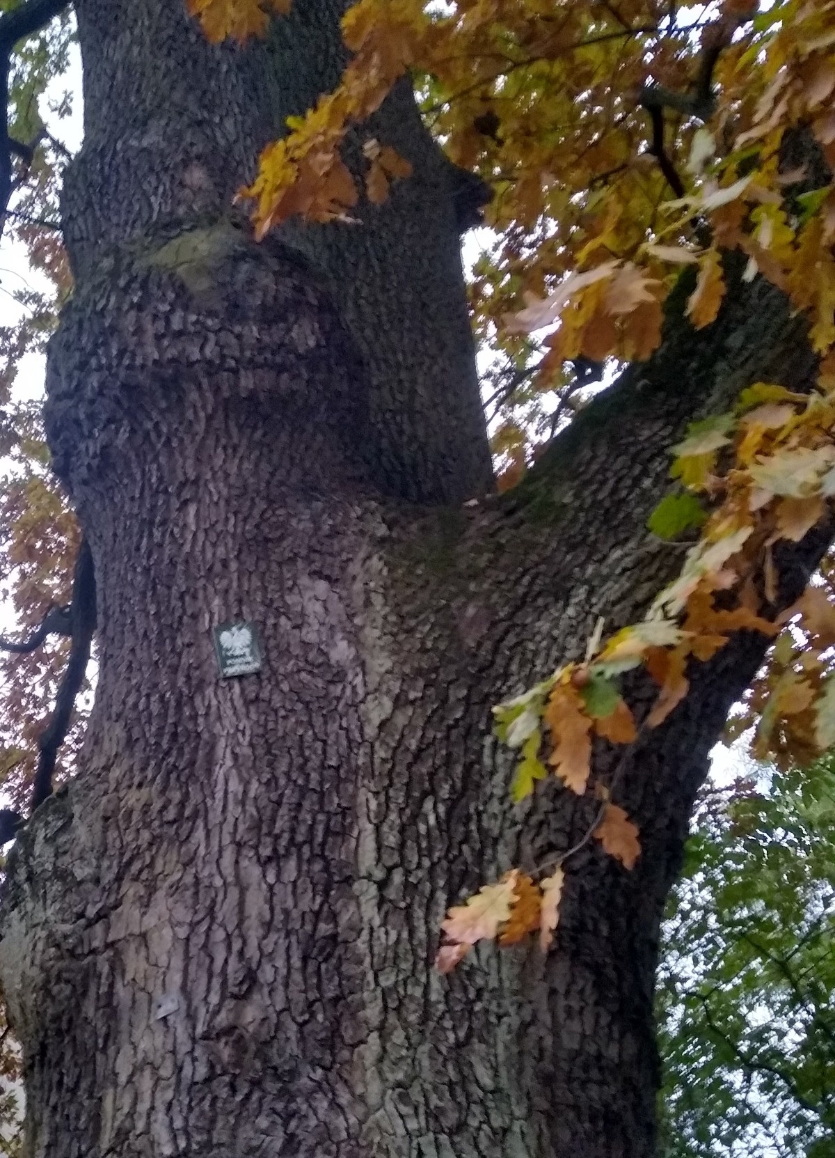 f3a2e515-c315-4613-8c8c-638a8fc5ccdc