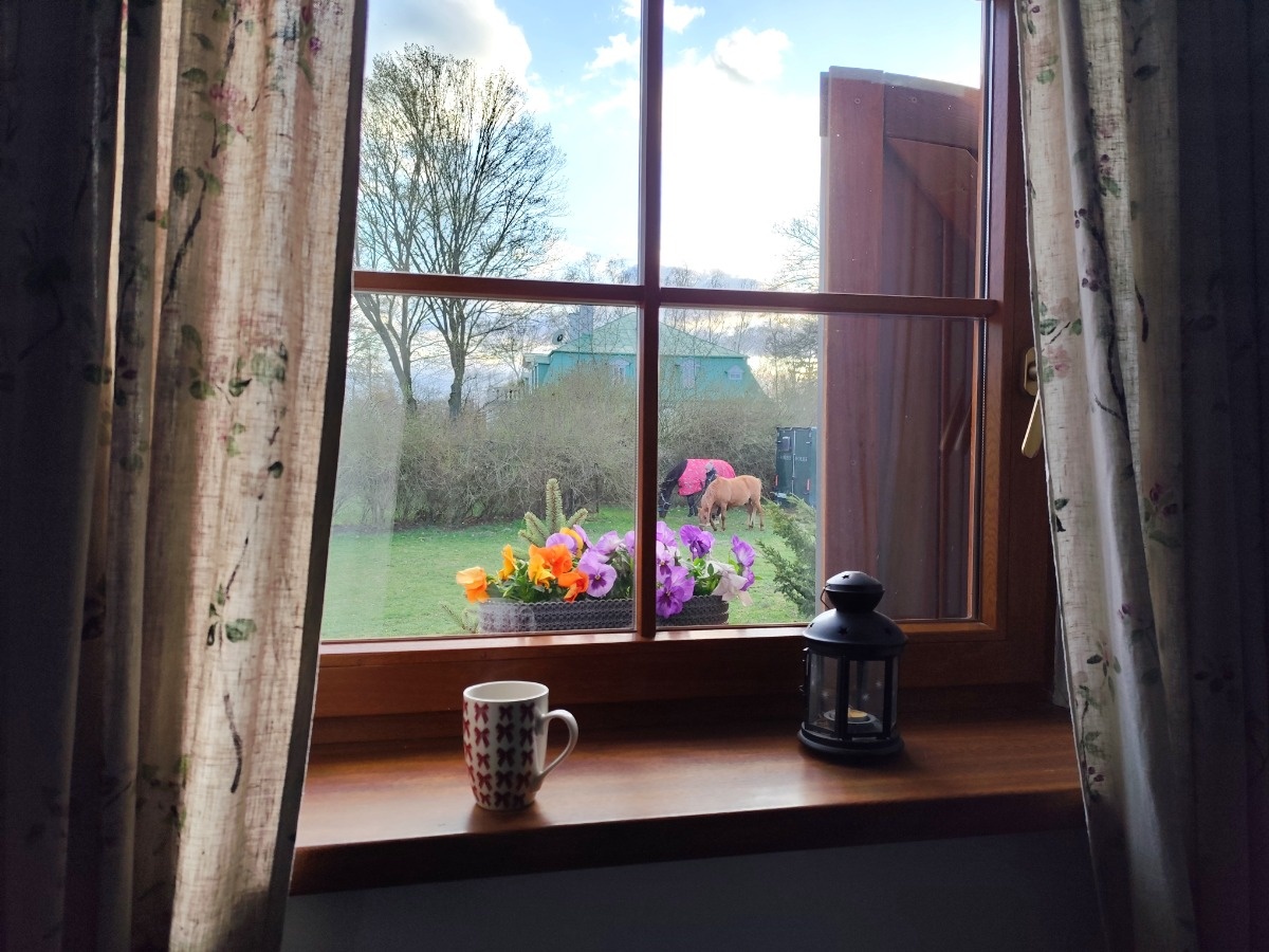 4203d148-c07d-4bd1-b2aa-847899b16673