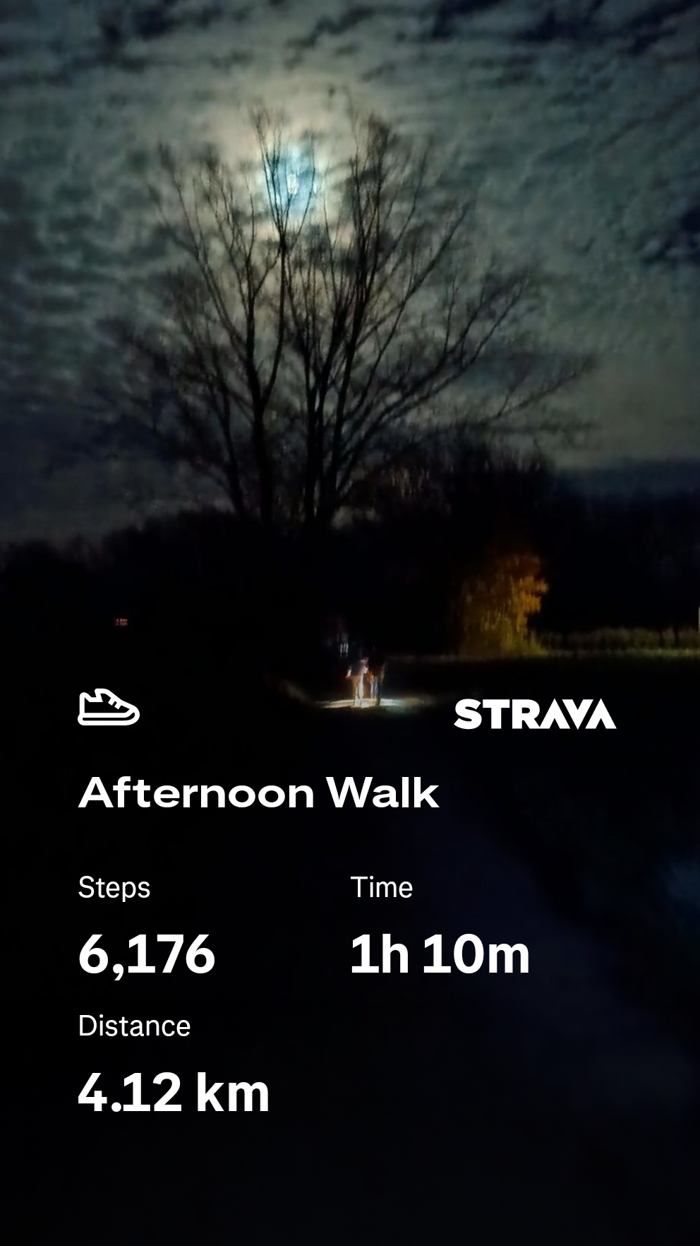 fc6c45ed-d98d-40b8-9fac-94469dab3f5d