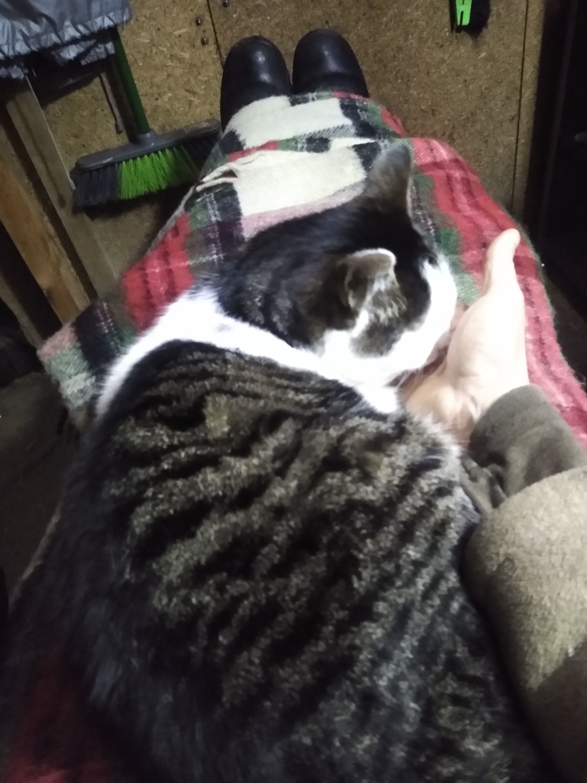 576f86bf-9a27-4d27-983b-55bc0621cd18