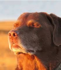 3b6dacbf-4792-4778-a3bb-d2ed28fddea9