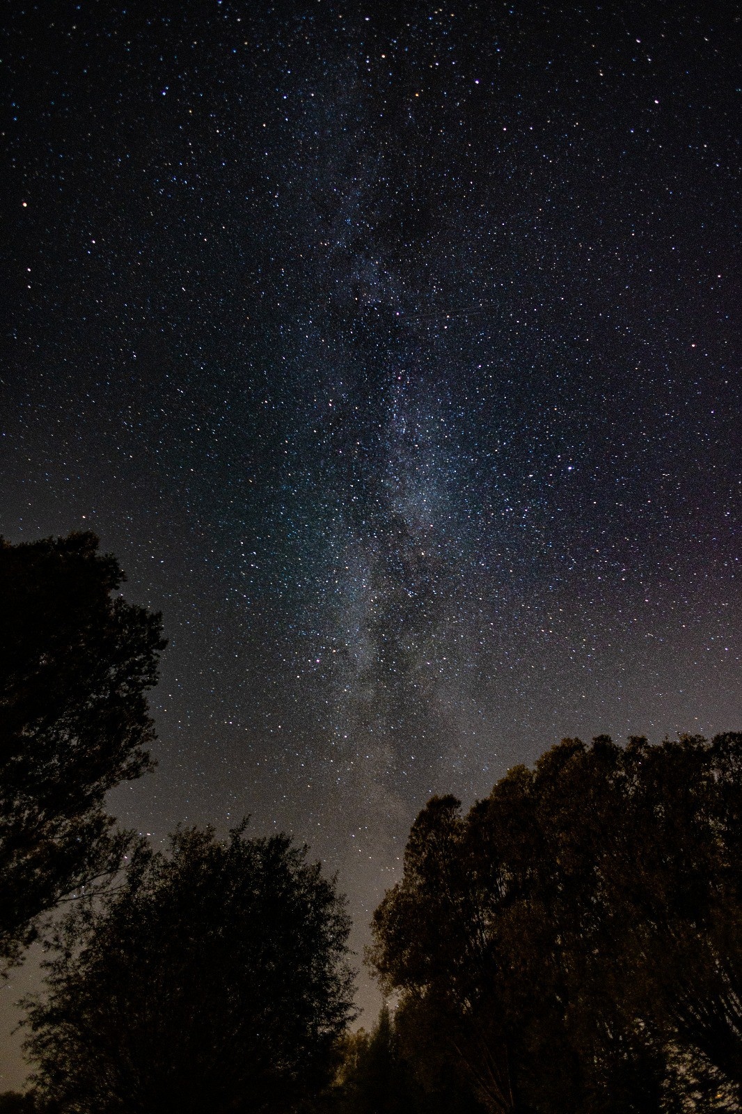 8e5c6443-4e54-4685-b834-919cd3d4cbda