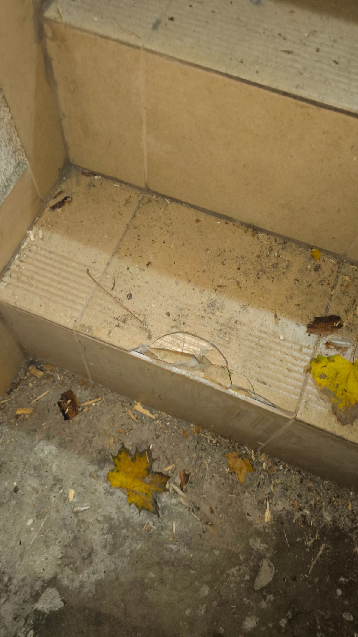 97129c71-5b26-45fe-af99-6f5e31b5f056