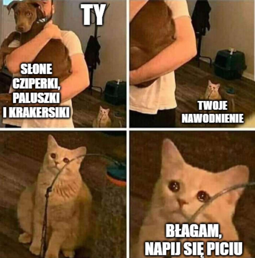 767f3503-91a1-469a-b858-688447773f1c