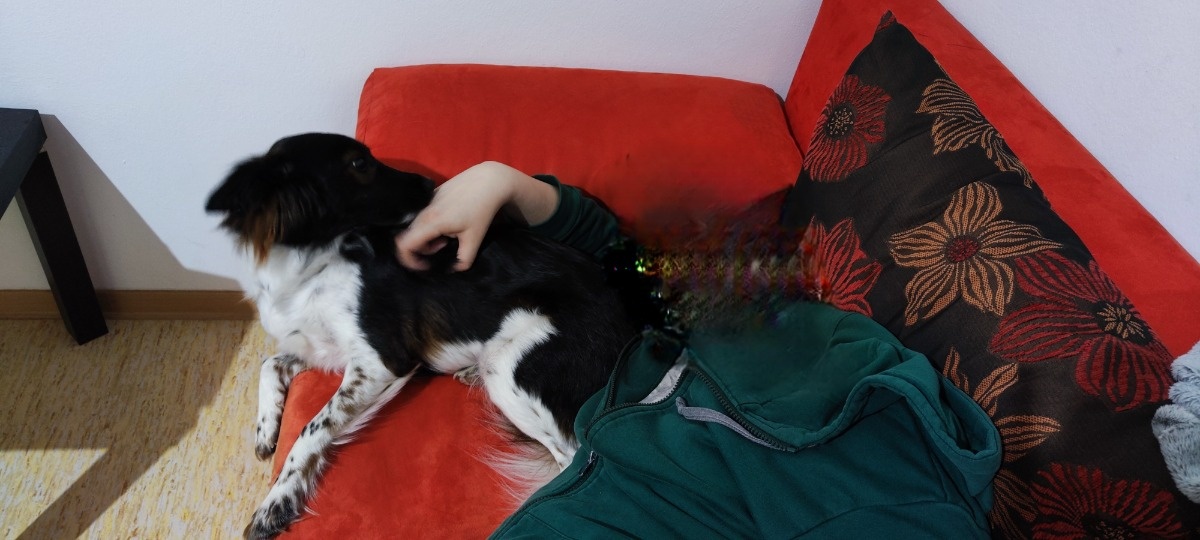 ca67db50-cd35-4acd-858b-c1d5136afc32