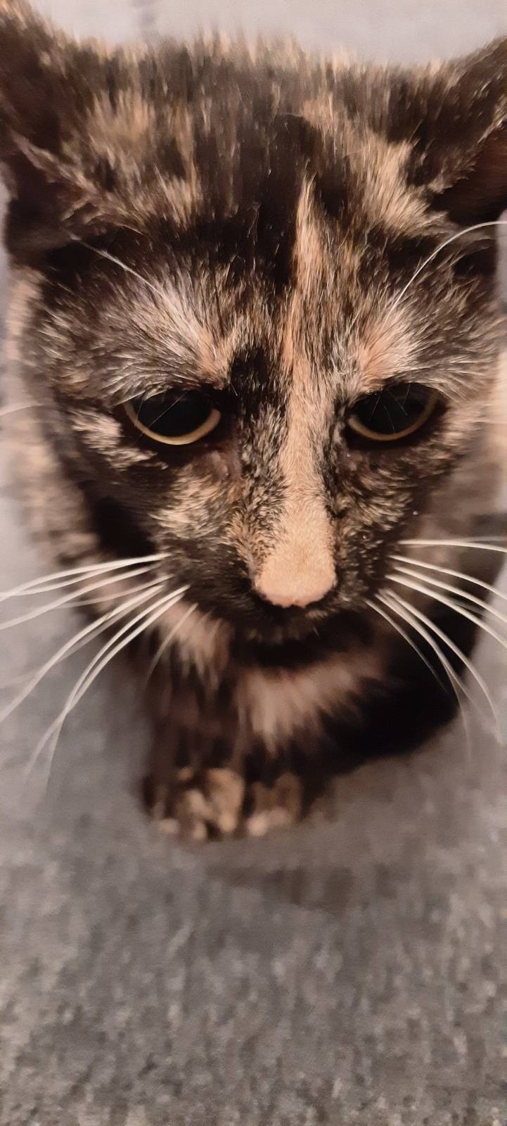 768f6bf1-e9a4-4f16-bb13-8692d2eab094