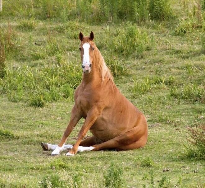 f2e04a33-0ec8-4eeb-9d6a-c55952b0fbfb