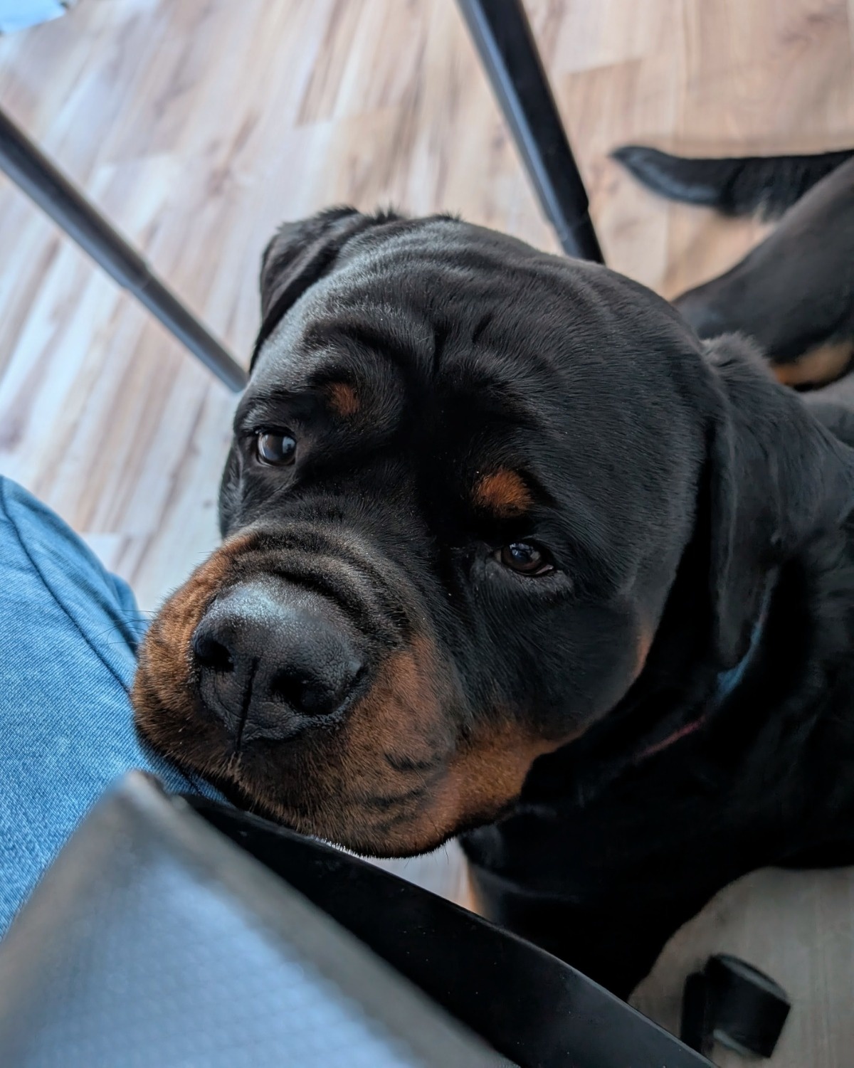 9ed301b5-f741-4001-b96b-f95688a21f7f