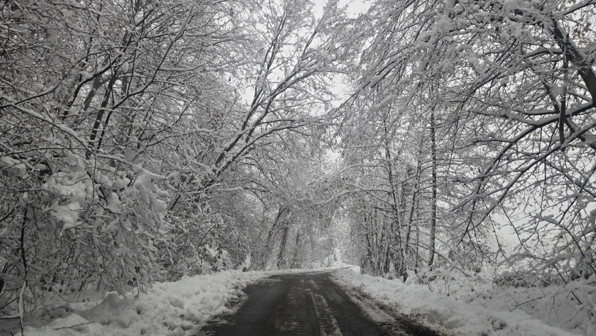 b15f3abb-fb83-4029-baf5-2e54ee37fae0