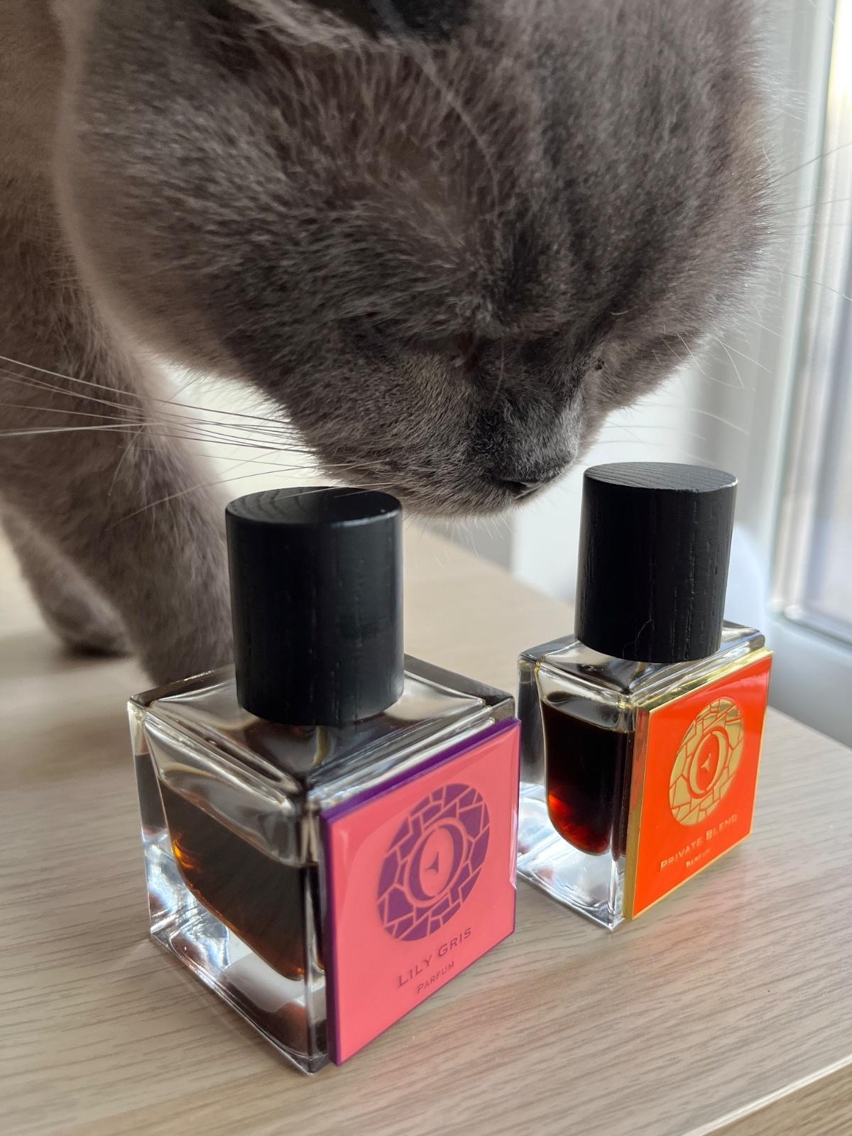 f93faa7d-f4a7-4719-b764-0757187318e8