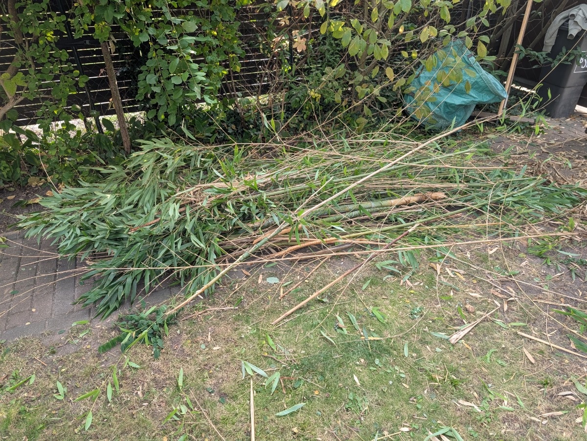 3e98c54d-99f5-4681-ba36-37630b3d6414