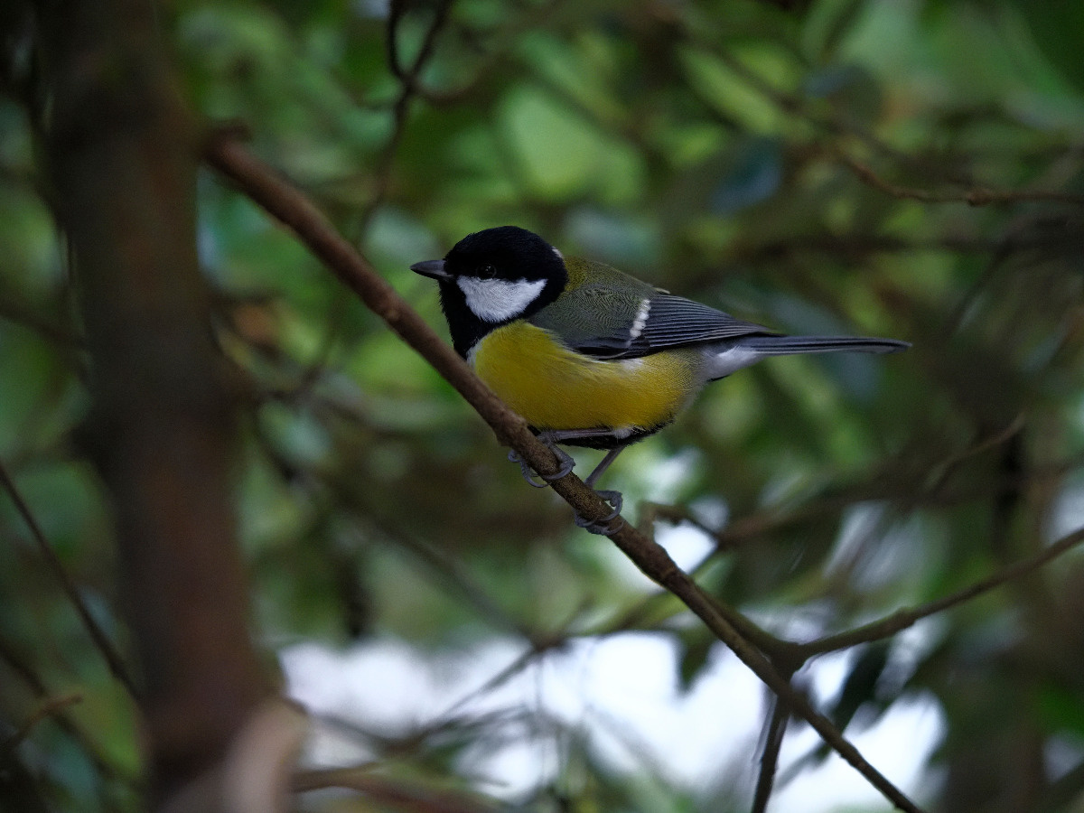 2e68a466-dad3-4c2c-9d8f-a0591180a3a1