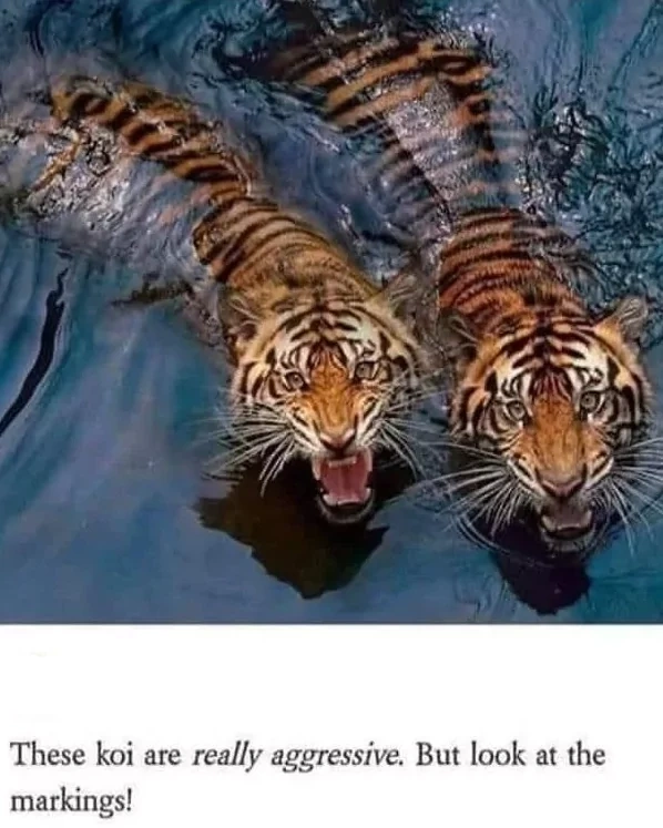 b9782728-c405-4c62-871a-c99405d76fd2